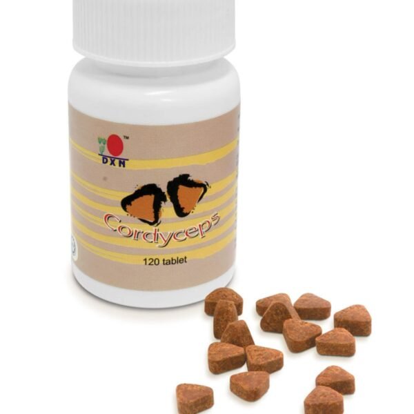 CORDYCEPS 120 COMPRIME