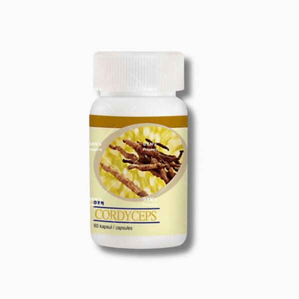 CORDYCEPS 120 COMPRIME