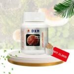 reishi 70 g