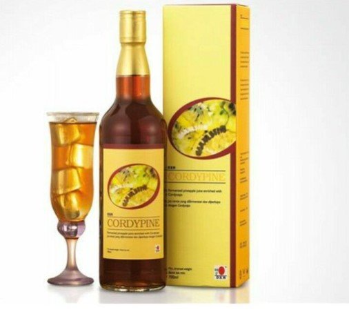 CORDYPINE DXN Cordypine DXN 700 ML – Image 1