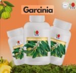 Garcinia dxn 90 capsules